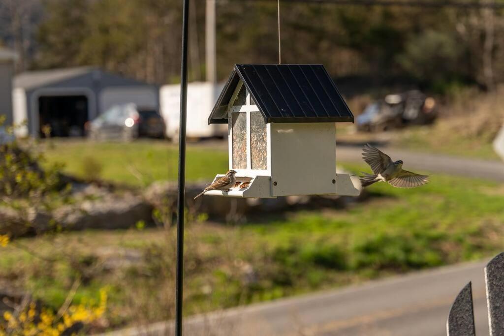 Cozy Cottage, Hot Tub, Fire Pit, 15Min To Hudson And Hiking 卡茨基尔 外观 照片